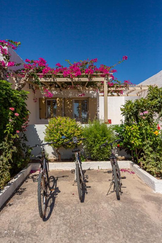 Glaros Kouremenos Appartement Palekastro Buitenkant foto